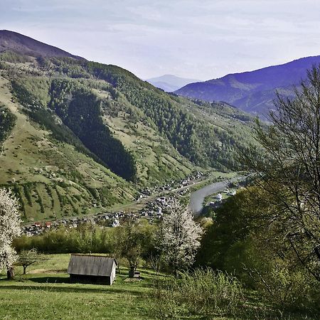 Dream Hostel Carpathians Rakhiv Exterior photo