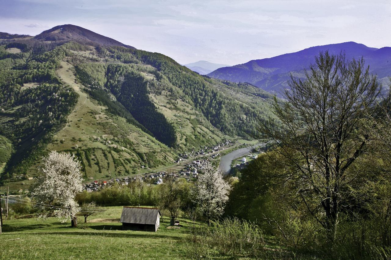 Dream Hostel Carpathians Rakhiv Exterior photo